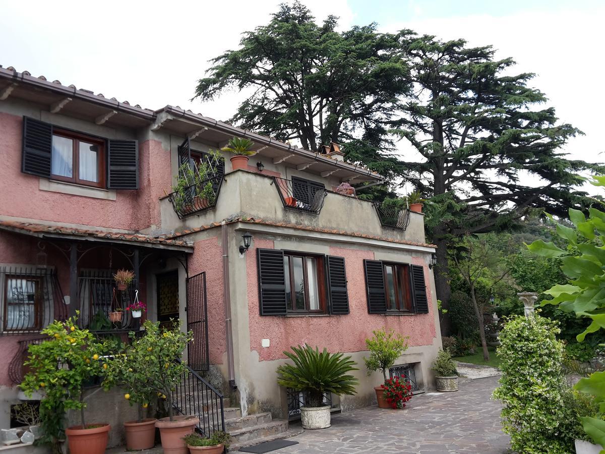 Bed&Breakfast "Fiorella" Sul Lago Кастель-Гандольфо Екстер'єр фото