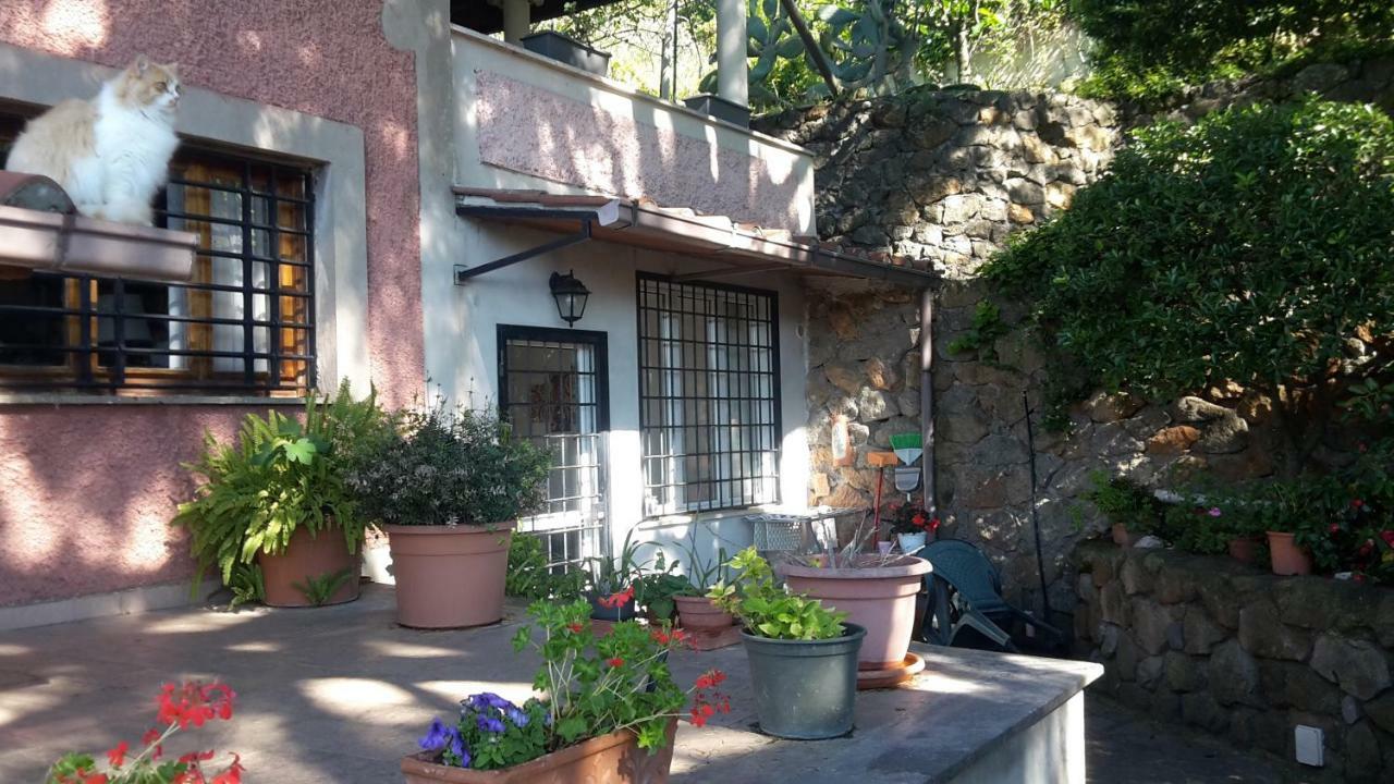 Bed&Breakfast "Fiorella" Sul Lago Кастель-Гандольфо Екстер'єр фото